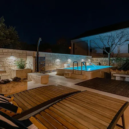 فيلة V4 فوديس