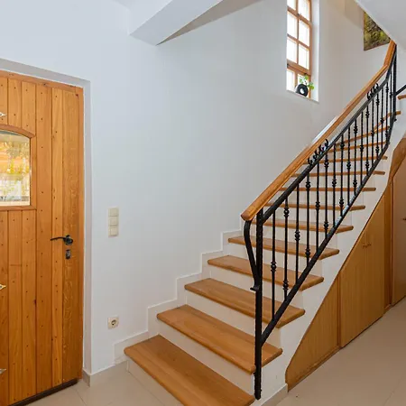 فيلة V4 فوديس